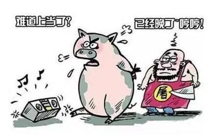 上当了.jpeg