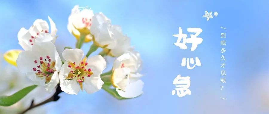 见效慢，好心急.jpeg