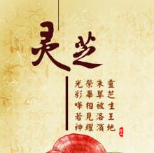 QQ图片20190520215941.jpg