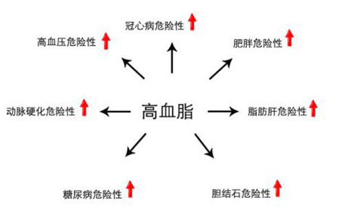 高旨.jpg