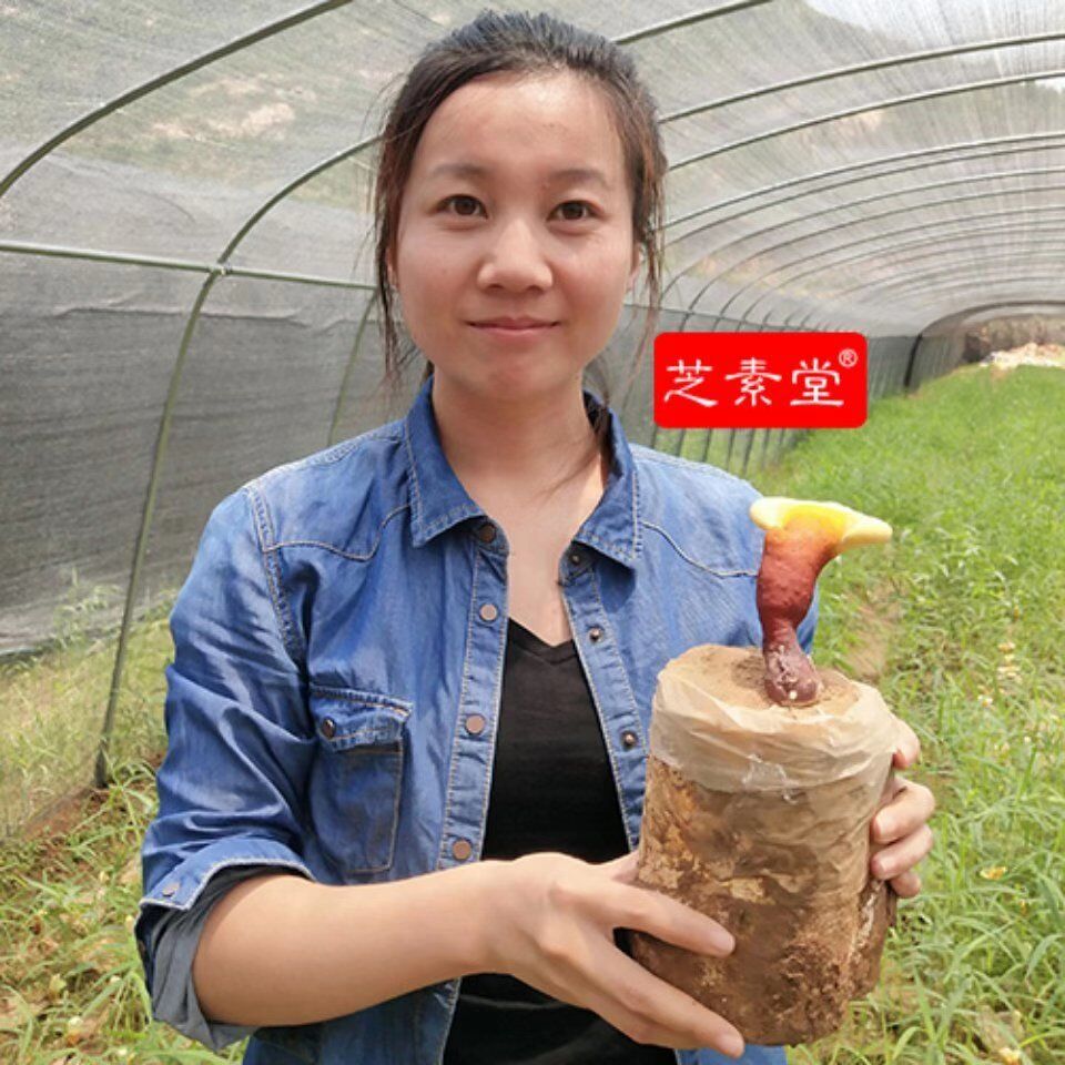 QQ图片20190904133611.jpg