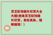 灵芝配饰图片欣赏大全大图(精美灵芝配饰图片欣赏，美轮美奂，耀眼璀璨！)
