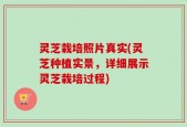 灵芝栽培照片真实(灵芝种植实景，详细展示灵芝栽培过程)