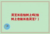 灵芝长在枯树上吗(枯树上也能长出灵芝？)