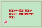 长茎小叶灵芝(长茎小叶灵芝：草本植物中的珍宝)