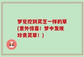 梦见挖到灵芝一样的草(意外惊喜！梦中发现珍贵灵草！)