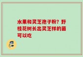 水果和灵芝孢子粉？野桂花树长出灵芝样的菌可以吃
