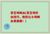 灵芝鸡喝水(灵芝鸡饮水技巧，教你让小鸡喝水更健康！)