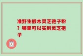 准野生椴木灵芝孢子粉？哪里可以买到灵芝孢子