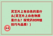 灵芝片上有白色的是什么(灵芝片上白色物质是什么？探究药材种植技巧与品质！)