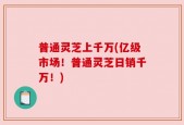 普通灵芝上千万(亿级市场！普通灵芝日销千万！)