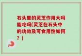 石头里的灵芝作用大吗能吃吗(灵芝在石头中的功效及可食用性如何？)