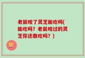 老鼠咬了灵芝能吃吗(能吃吗？老鼠咬过的灵芝你还敢吃吗？)