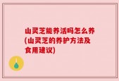 山灵芝能养活吗怎么养(山灵芝的养护方法及食用建议)