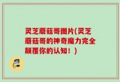 灵芝蘑菇哥图片(灵芝蘑菇哥的神奇魔力完全颠覆你的认知！)
