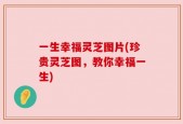 一生幸福灵芝图片(珍贵灵芝图，教你幸福一生)