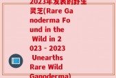 2023年发表的野生灵芝(Rare Ganoderma Found in the Wild in 2023 - 2023 Unearths Rare Wild Ganoderma)