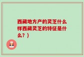 西藏地方产的灵芝什么样西藏灵芝的特征是什么？)