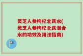 灵芝人参枸杞北芪水(灵芝人参枸杞北芪混合水的功效及用法指南)