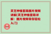 灵芝种植套路图片视频讲解(灵芝种植套路详解：图片视频带你轻松入门)