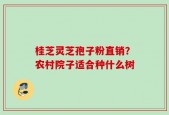桂芝灵芝孢子粉直销？农村院子适合种什么树