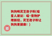 狗狗喝灵芝孢子粉(喵星人建议：喵~宠物护理新招，灵芝孢子粉让狗狗更健康！)