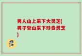 男人山上采下大灵芝(男子登山采下珍贵灵芝)