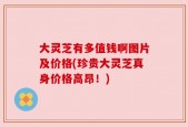 大灵芝有多值钱啊图片及价格(珍贵大灵芝真身价格高昂！)