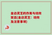 金边灵芝的作用与功效禁忌(金边灵芝：功效及注意事项)