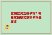 堂破壁灵芝孢子粉？哪里买破壁灵芝孢子粉最正宗