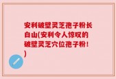 安利破壁灵芝孢子粉长白山(安利令人惊叹的破壁灵芝穴位孢子粉！)