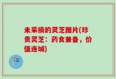 未采摘的灵芝图片(珍贵灵芝：药食兼备，价值连城)