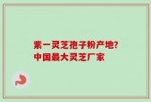 紫一灵芝孢子粉产地？中国最大灵芝厂家