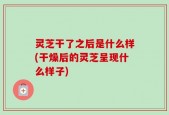 灵芝干了之后是什么样(干燥后的灵芝呈现什么样子)