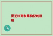 灵芝红枣和黑枸杞的区别
