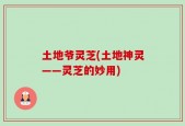 土地爷灵芝(土地神灵——灵芝的妙用)