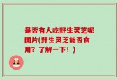 是否有人吃野生灵芝呢图片(野生灵芝能否食用？了解一下！)