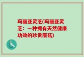 玛丽亚灵芝(玛丽亚灵芝：一种拥有天然健康功效的珍贵蘑菇)