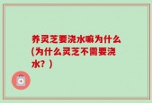 养灵芝要浇水嘛为什么(为什么灵芝不需要浇水？)