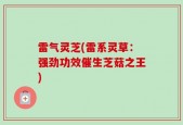 雷气灵芝(雷系灵草：强劲功效催生芝菇之王)