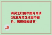 海灵芝红围巾图片高清(高清海灵芝红围巾图片，展现精美细节)