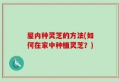 屋内种灵芝的方法(如何在家中种植灵芝？)