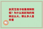 刮灵芝孢子收集视频教程？为什么拍赶海的视频这么火，那么多人喜欢看