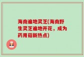 海南遍地灵芝(海南野生灵芝遍地开花，成为药用菇新热点)