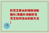 野灵芝煮水的视频讲解图片(用图片讲解野生灵芝如何泡水的新方法)