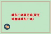 歧东广场灵芝鸡(灵芝鸡登陆歧东广场)