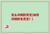 怎么识别野灵芝(如何识别野生灵芝？)