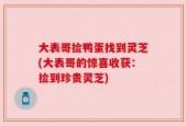大表哥捡鸭蛋找到灵芝(大表哥的惊喜收获：捡到珍贵灵芝)