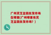 广州灵芝盆栽批发市场在哪里(广州哪里有灵芝盆栽批发市场？)