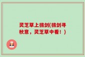 灵芝草上拔剑(拔剑寻秋意，灵芝草中看！)